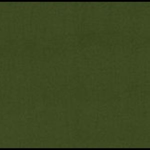 Meet your Posher, Amiah